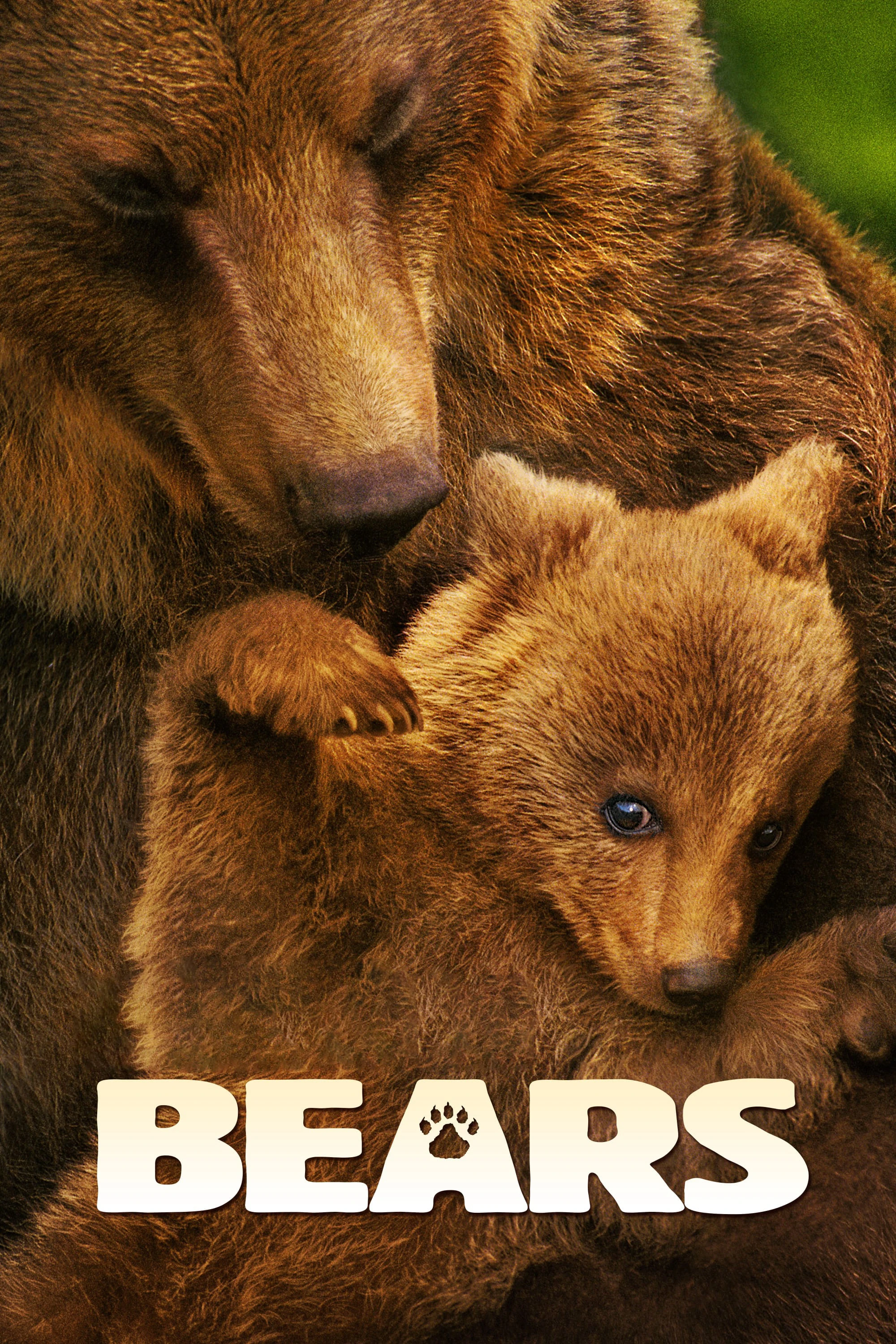 Bears | Bears (2014) Bears | Bears (2014)