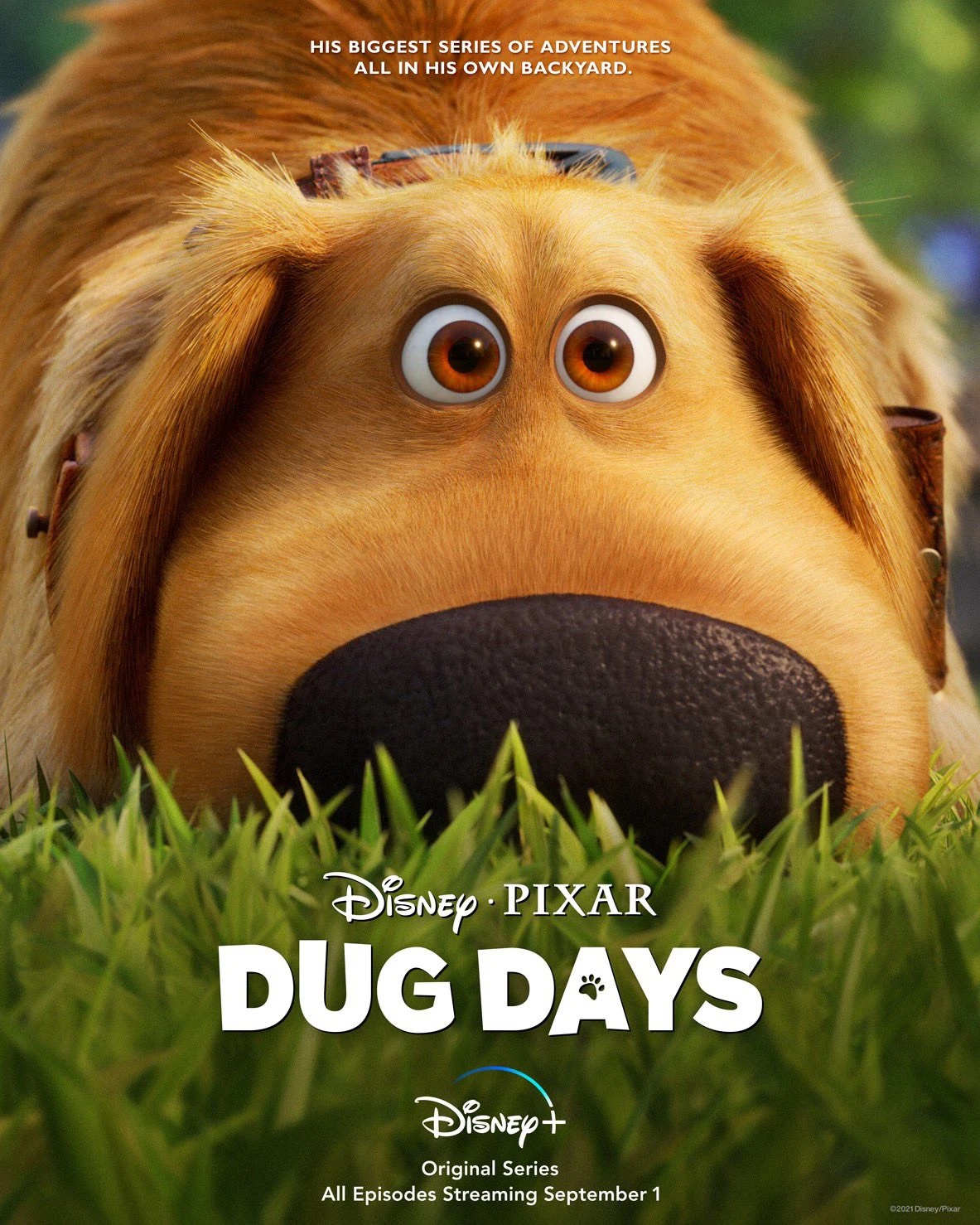 Cuộc Phiêu Lưu Của Dug | Dug Days (2021) Cuộc Phiêu Lưu Của Dug | Dug Days (2021)