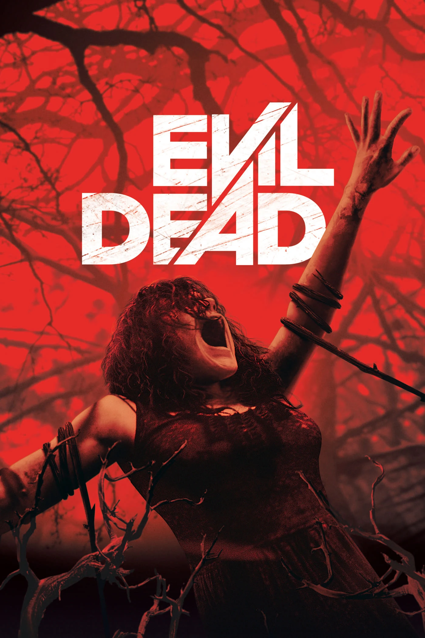 Evil Dead | Evil Dead (2013) Evil Dead | Evil Dead (2013)