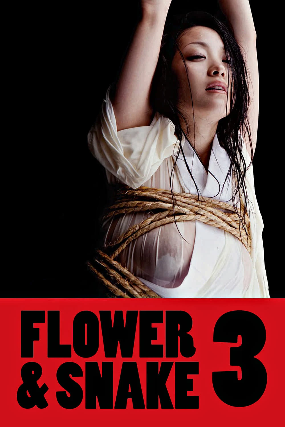 Hoa Và Rắn 3 | Flower & Snake 3 (2010) Hoa Và Rắn 3 | Flower & Snake 3 (2010)