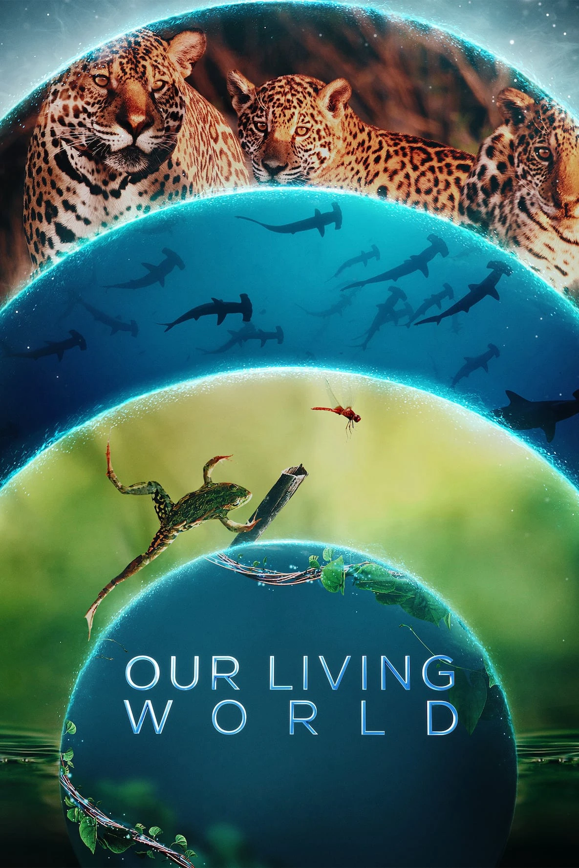 Thế giới sống của chúng ta | Our Living World (2024) Thế giới sống của chúng ta | Our Living World (2024)
